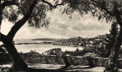 CPA Menton View through the Olive-trees