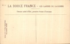 CPA Soft France the Moors De Gascogne