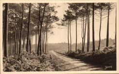 CPA Soft France the Moors De Gascogne Route Of Leon has Cape Breton