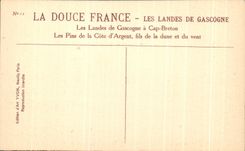 CPA Soft France the Moors De Gascogne the moors of Gascogne has Cape Breton the pines of the money wire Dimension