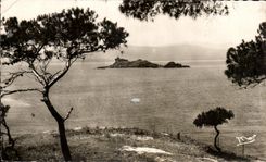 CPSM the Dimension of Azure Saint Raphael the Sea lion