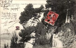 CPA Toulon Cape Brown Pines of the Courdouan Painter