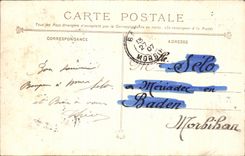 CPA Toulon Cape Brown Pines of the Courdouan Painter