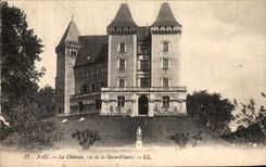 CPA Pau Le Chateau vu de la Bassse Plante