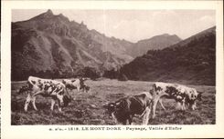 CPA the Mount Gilds Landscape Valley of Hell Cows