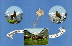 CPSM Souvenir Of Savoy Cows Chamois Eagle Flower sechee