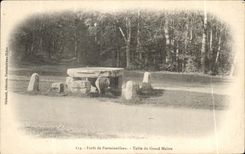 CPA Foret of Fontainebleau Counts of the Large Master