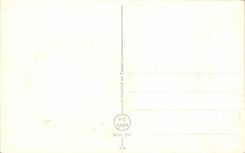 Flores de la fantasia de CPA