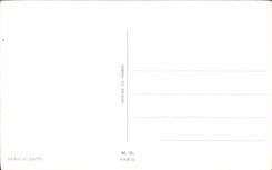 La fantasia de CPA florece pajaros