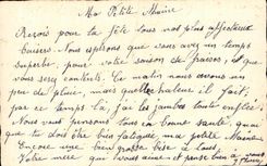 Flores de la fantasia de CPA