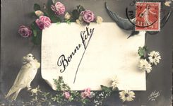 La fantasia de CPA florece el pajaro