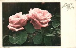 Flores de la fantasia de CPA