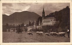 CPA Lourdes the Basilica Seen of the meadow of the Cave