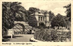 CPA Gloria matt mit Buttenrand