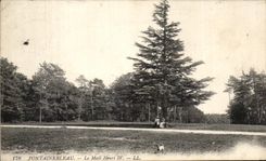 CPA Fontainebleau the Email Henri V