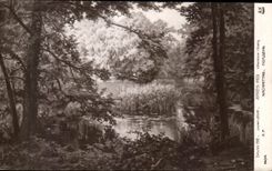 CPA Salon 1912 Lucien Biva Apres Midi Villeneuve L'Etang 