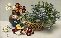 La fantasia de CPA florece nomeolvides