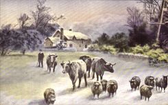 CPA Fantasy Cows Sheep