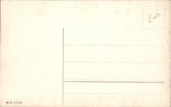 CPA Fantasy Cows Sheep