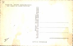 CPA Rouen Swans of the Solferino Garden