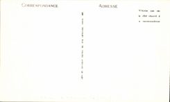 CPA Rouen the Bridge Crow and the Cathedral