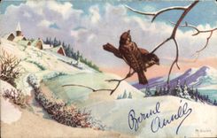 CPA Fantaisie Bonne Annee oiseau