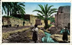 CPA With the Old man Biskra Algeria