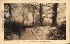 CPA In the Limousin the Winter Sentler in a Chestnut grove