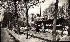 CPA Paris Secondhand booksellers on the Notre Dame Quays
