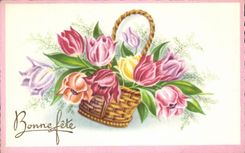 La fantasia de CPA florece buen festival