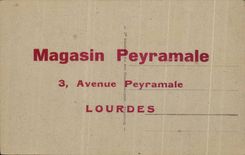 CPA Lourdes the Basilica Seen from of the Castle Fort Publicity Peyramale Store