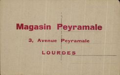 CPA Lourdes the Basilica Seen from of the Castle Fort Publicity Peyramale Store