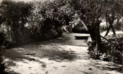 CPA Maillezais Venice Green