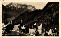 Cria chartreuse de CPA