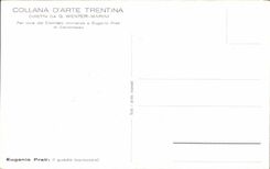 CPA Collana D'Arte Trentina Diretta Wenter Marini Eugenio prati Il guado