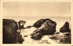 CPA Sion en el oceano la dimension salvaje con caos