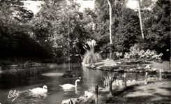 CPA La Rochelle el rio en el cisne de los parques