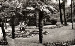 CPA La Baule Pines the Park of Dryades