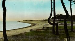 CPA Island D' Oleron the Beach of Boyardville Wood