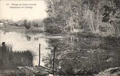 CPA Etang de Saint Cucufa Ensemble de L'Etang