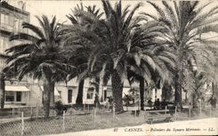 CPA Cannes Palm trees of the Merimee Public garden