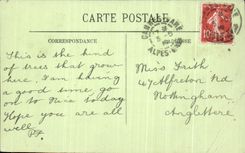 CPA Cannes Palm trees of the Merimee Public garden