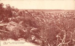 CPA Foret De Fontainebleau Chaos of the throats of Franchard