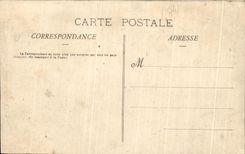 CPA Pau the Castle and the Boulevard of the South Seen of Saligue