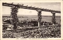 CPA Cannes Seen between the Flowers Pergola