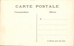 CPA Les Bords De La Marne Oies d'elevage
