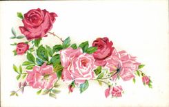 La fantasia de CPA florece rosas