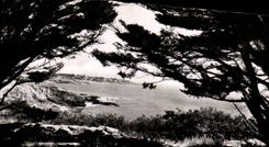 CPA Prefailles la dimension a traves de los arboles