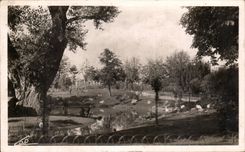 CPA Vichy Les Parcs et le nouveau bassin des cygnes
