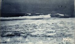 CPA the Wild Dimension